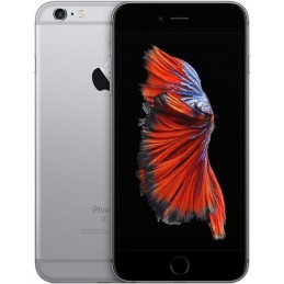 iPhone 6S Plus 32gb Usato Grado A Garanzia 1 anno Grey