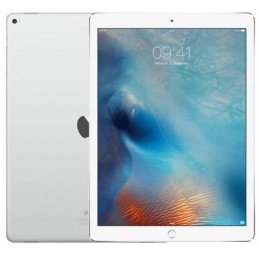 Apple iPad 5 32Gb 9.7'' Cellular Silver Usato Grado A