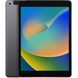 Apple iPad 9 A2603 2021 10.2'' 64GB Grey 4G Usato Grado A